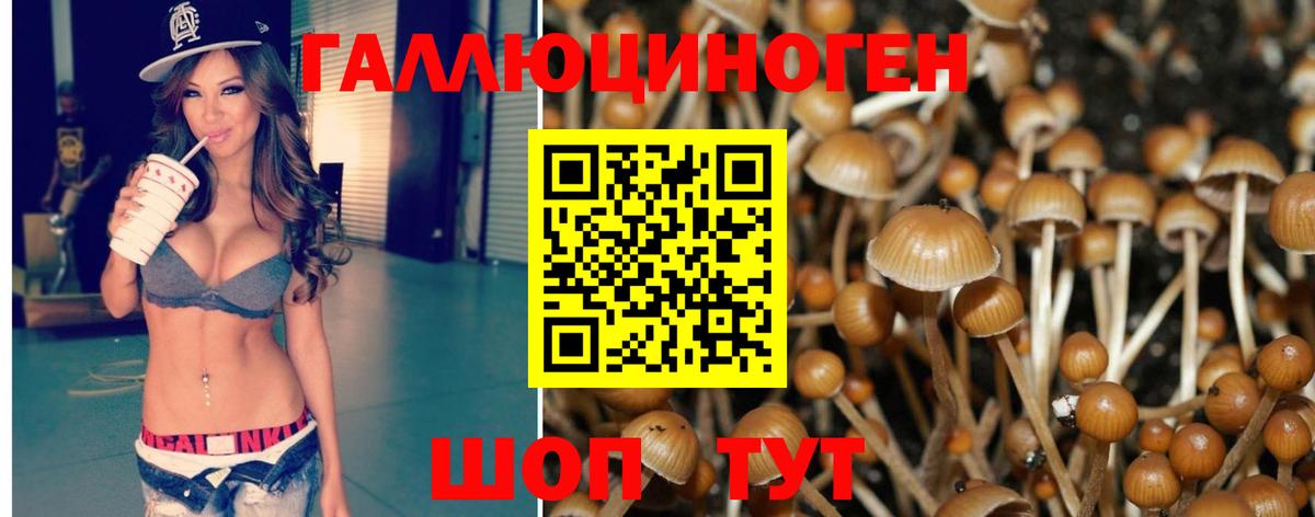 Псилоцибиновые грибы Magic Shrooms  Псилоцибиновые грибы Magic Shrooms  Киров  Вход с VPN 
