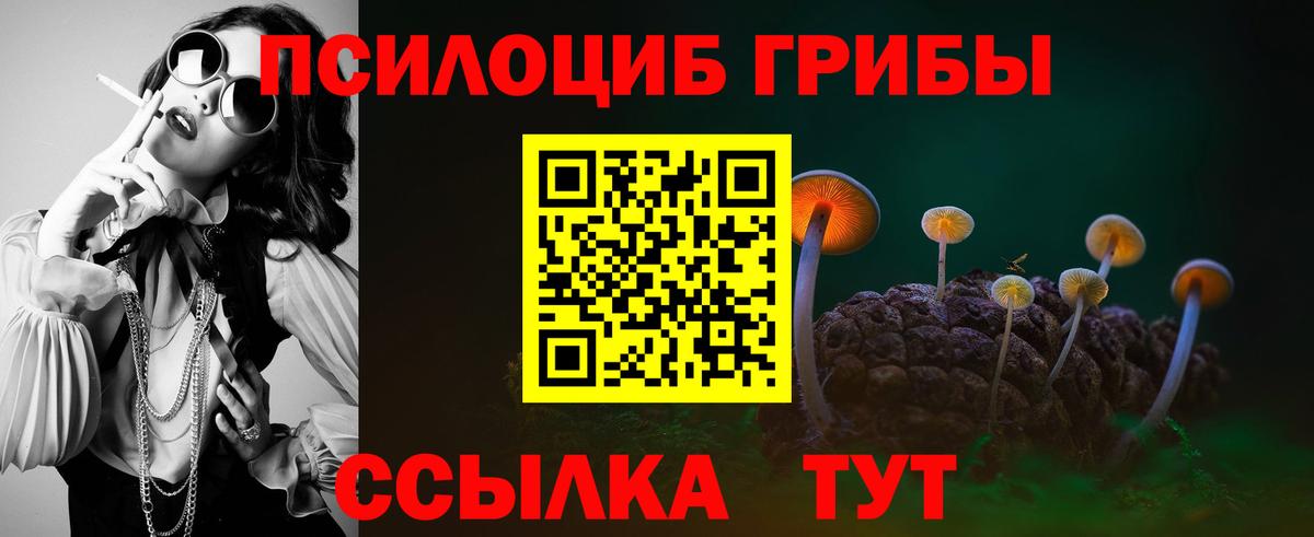 Псилоцибиновые грибы GOLDEN TEACHER Киров