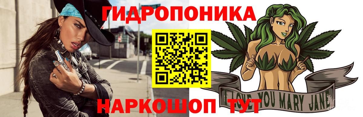 Бошки марихуана OG Kush Киров